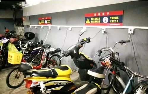 电动自行车电池寿命令 详解其使用寿命与更换周期